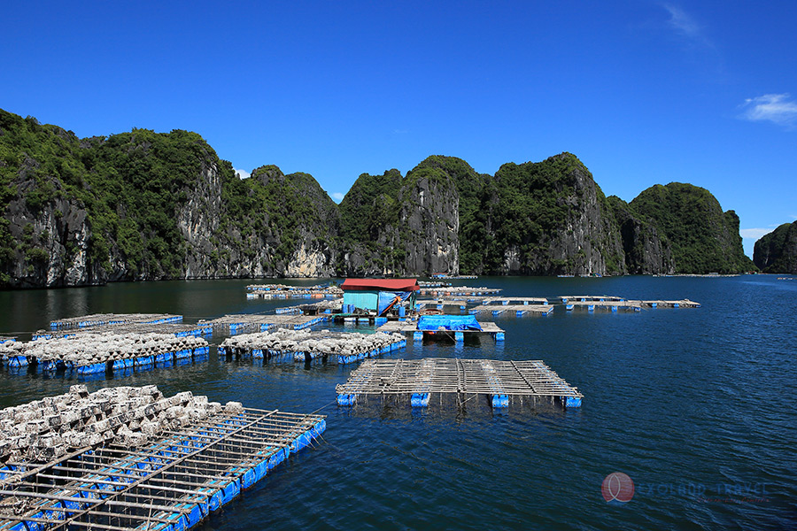 Ile de Cat Ba, plage Cat Ba, Baie Lan Ha, croisière Baie Cat Ba