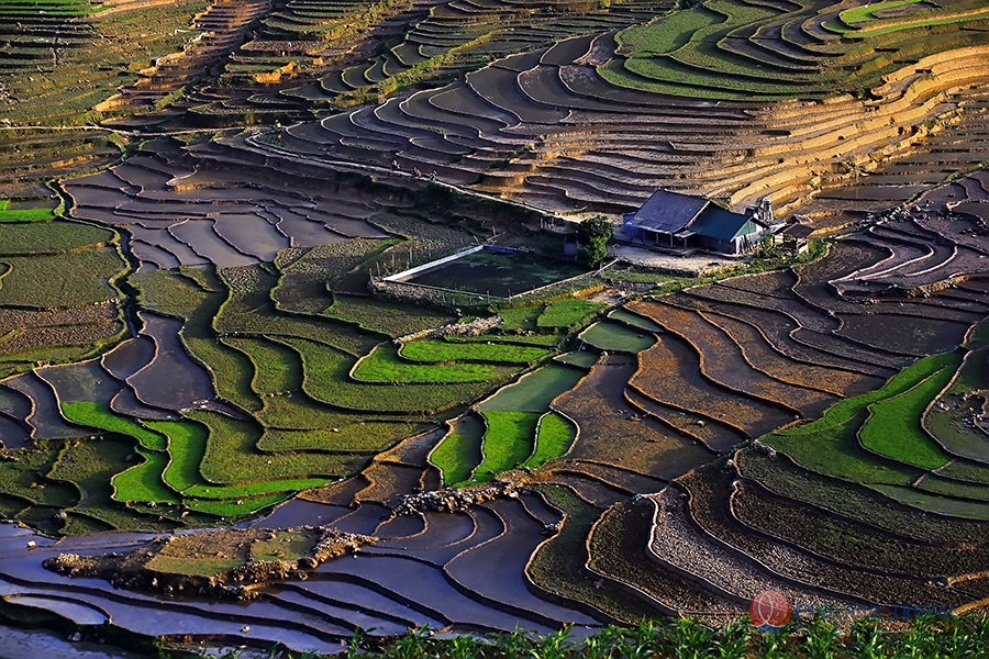 Sapa, ethnie Sapa, rizières en terrasse Sapa