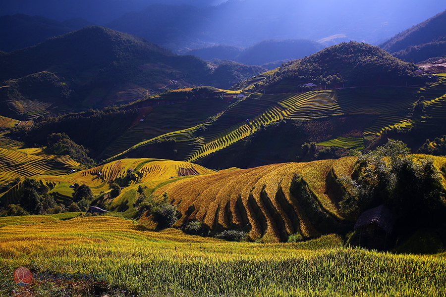 Mu Cang Chai, rizières en terrasse  La pa Tan