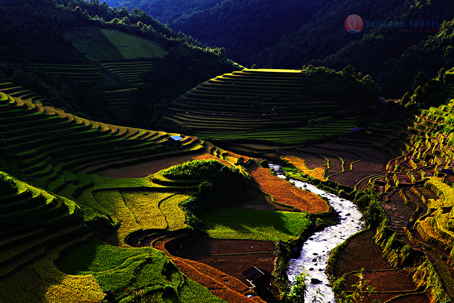 Mu Cang Chai, rizières en terrasse Mu Cang Chai