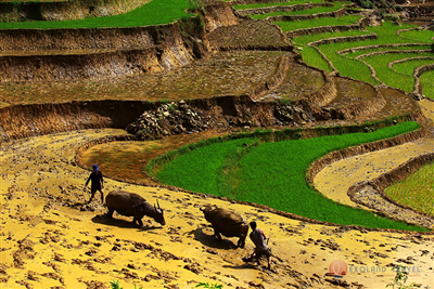 ETHNIES ET NATURE VIETNAM