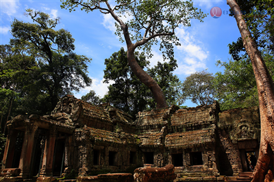 LES MEILLEURS DU CAMBODGE