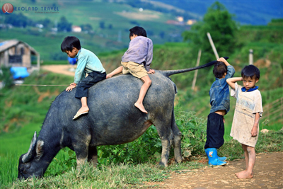 SÉJOURS VOYAGE PHOTO AU VIETNAM